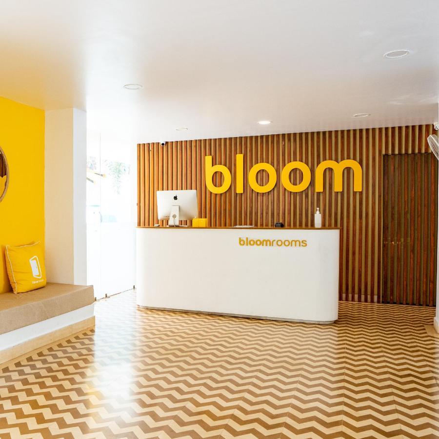 Bloomrooms كالانغيُت المظهر الخارجي الصورة